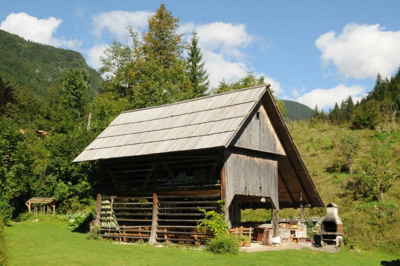 Apartmaji Rabic *
