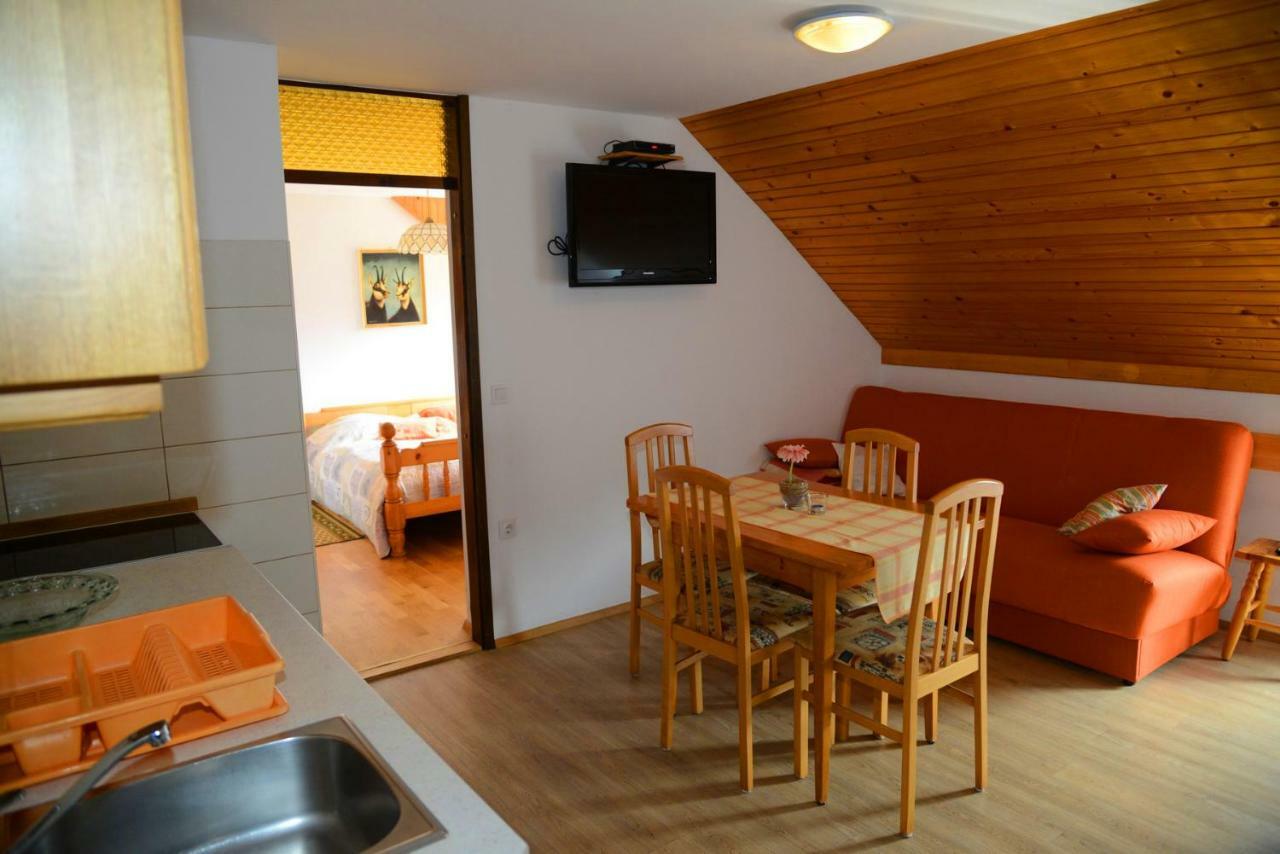 Apartment Apartmaji Rabic Bohinj
